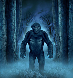 State Trooper: I Feed Bigfoots and They Have a Language