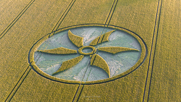 First UK Crop Circle of 2023 Found