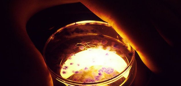 Russia Warns of Deadly Mutant Space Bacteria