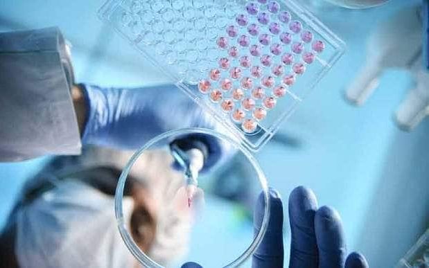 'DIY Scientists Could Unleash Genetically-Edited Organisms'