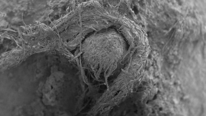 50,000-year-old String Found at French Neanderthal Site