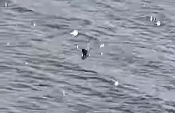 Loch Ness Monster Spotted Swimming?