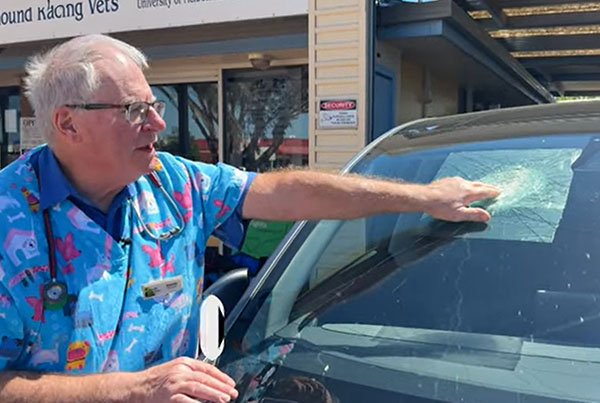 Tesla in Australia Struck by Possible Meteorite