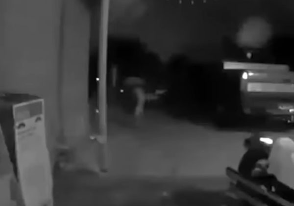 Security Camera Films Odd 'Alien' Strolling Across Driveway