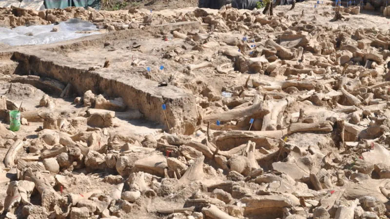 Ice Age Structure Discovered, Made from Mammoth Bones