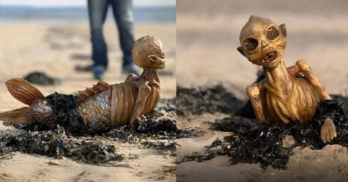 British Couple Finds 'Fiji Mermaid' on Beach