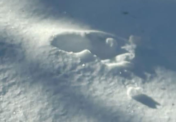 Hudson Valley Resident Reveals 'Bigfoot' Track Photos