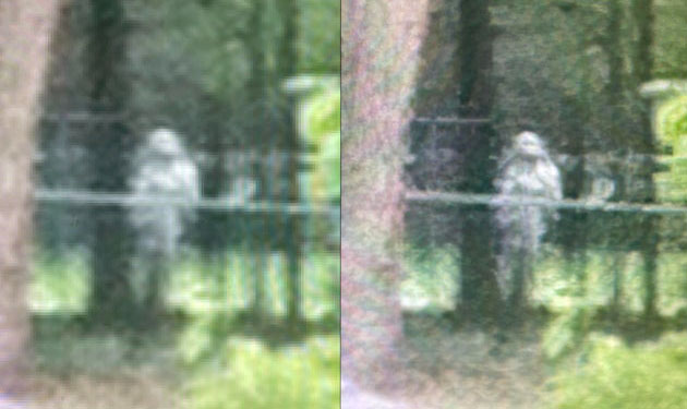 Ghost Photographed at Former Civil War Hospital in Tennessee?