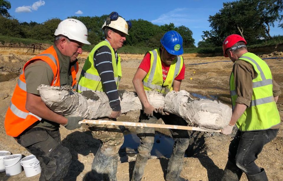 Massive Mammoth Graveyard Found in the United Kingdom