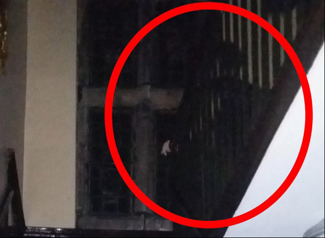 Ghost Hunters Photograph Spooky 'Woman in Black' Phantom