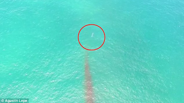 Man Claims Drone Captured 'UFO Travelling at Almost 200mph'