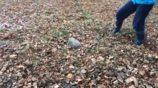 Ground Moves Like 'Jelly' in Aberdeen Park