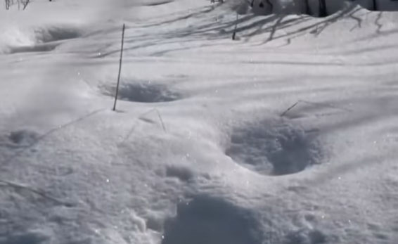 Man Discovers 'Bigfoot Tracks' in Washington