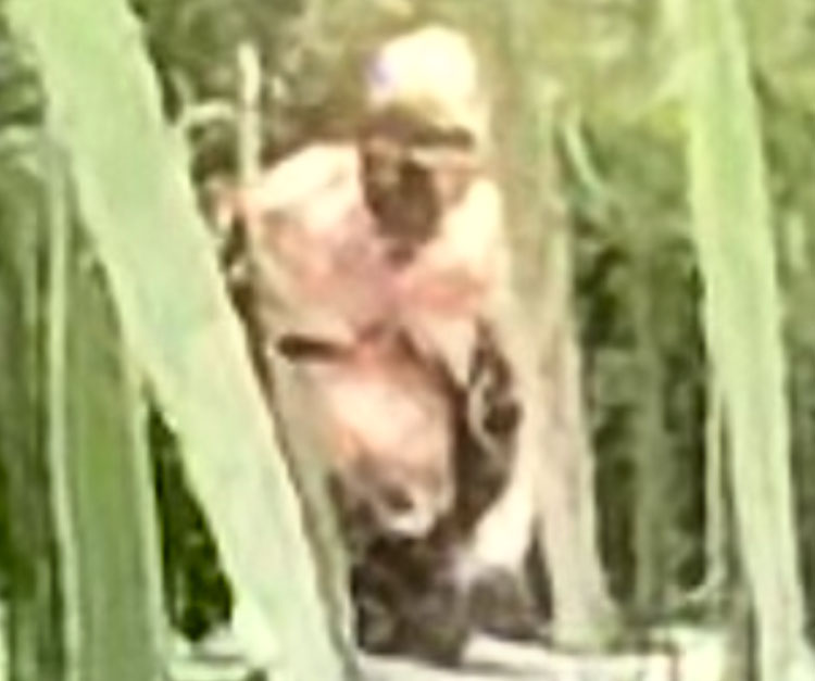 Creepy Figure Photographed in New York Pond