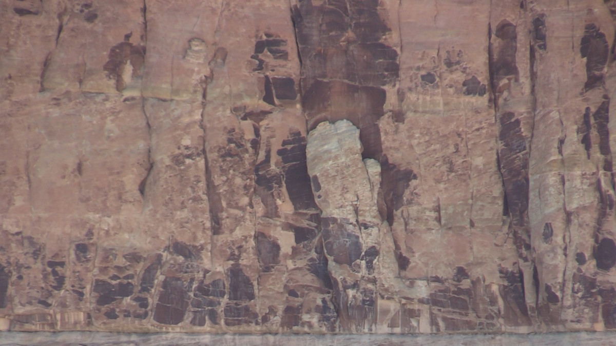 Is Desert Varnish a Pathway to Detecting 'Alien' Life?