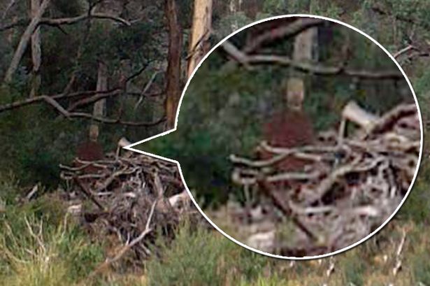 'Ghost' Photographed by Hiker at Remote Suicide Spot