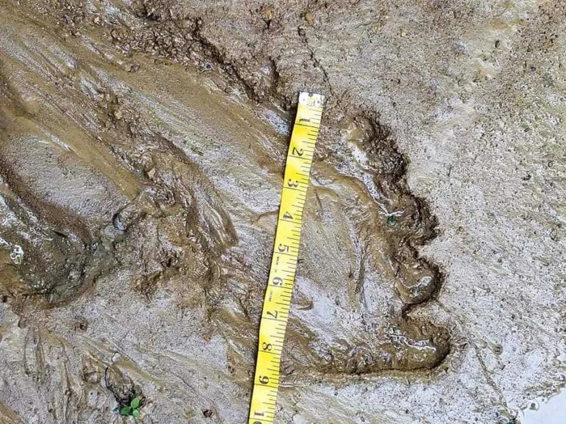 Bigfoot Hunter Claims to Find Nine-inch Footprint in Mud