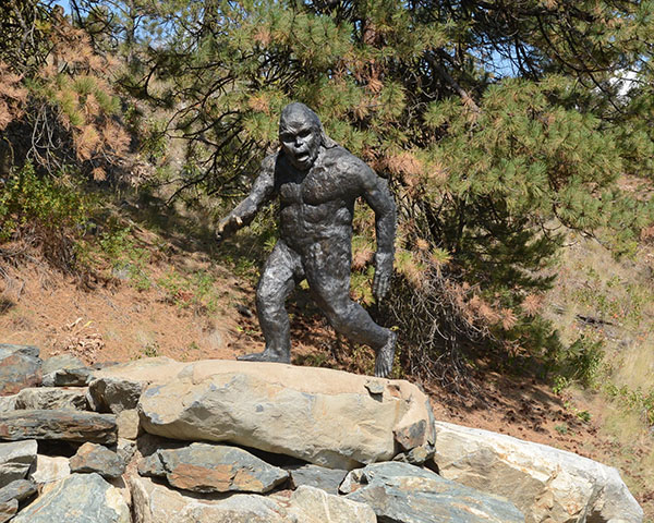 Sasquatch 'Sightings' Reignite Interest in Ape-like Beast