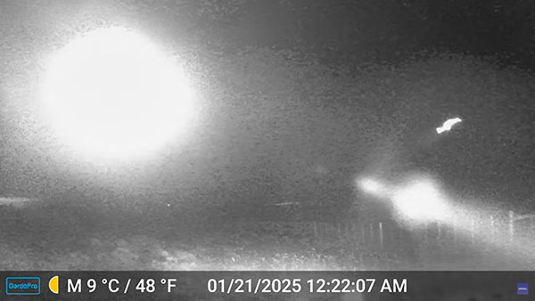 Mysterious Lights Photographed by Trail Camera in Chile