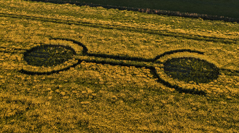 First UK Crop Circle of 2026 Found