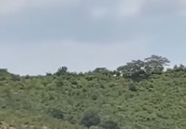 Mysterious Flickering Light Filmed on Hillside in Mexico